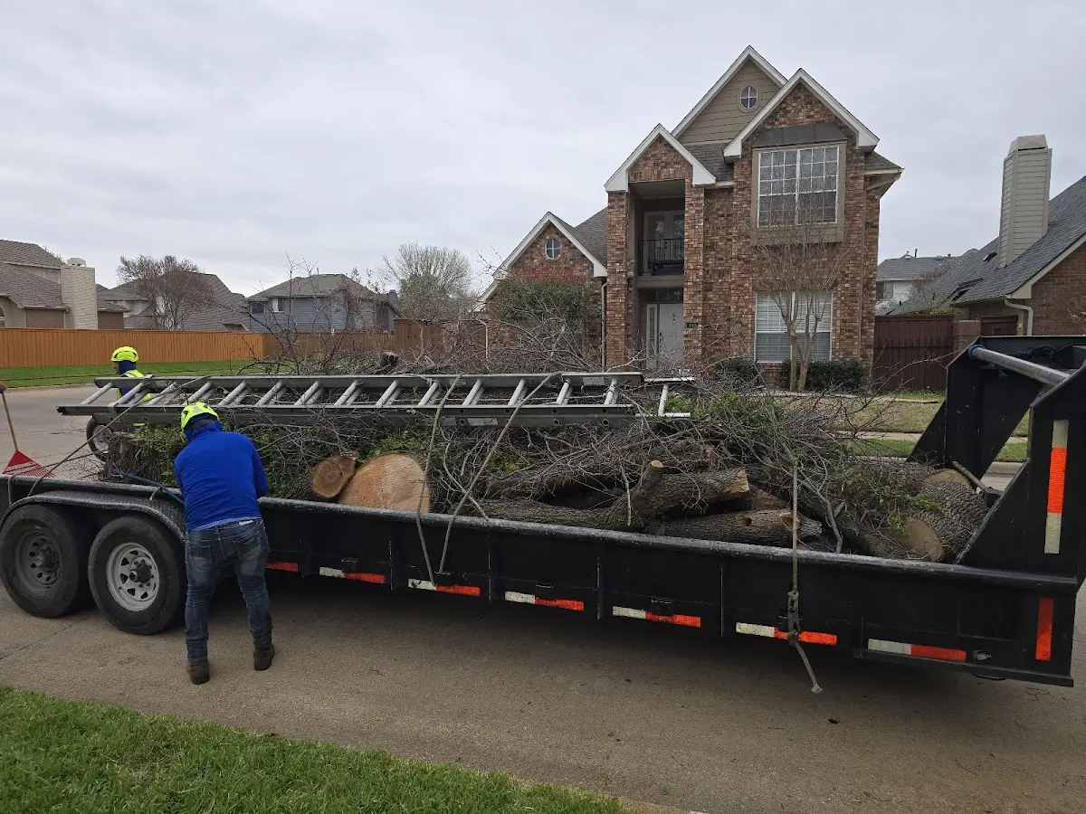 Expert Tree Removal with proper safety equipment in Frederick